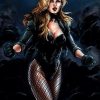 Black Canary Body Measurements Height Weight Powers Stats