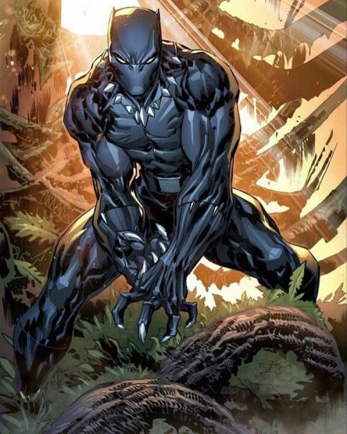 Black Panther Height Weight Shoe Size